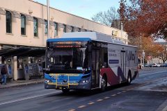 Bus813-EastRow-1