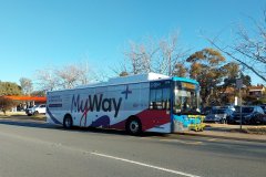 Bus815-HardwickCr-1