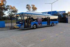 Bus815-csbs-1