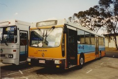 Bus-816-Sydney