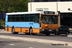 Bus-817-London-Circuit