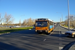 Bus-818-Commonwealth-Avenue