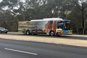 BUS 825-2