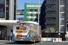 Bus825-KingsleySt