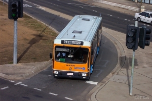 BUS 835-1