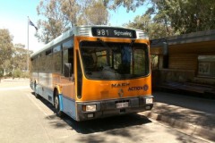 Bus-835-Lady-Denman-Drive