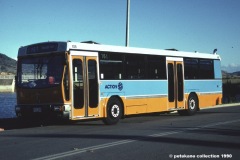 Bus-838-Reed-Street