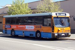 Bus-840-Gozzard-Street