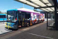 Bus845-WestfieldBelc-1
