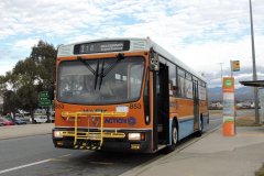 Bus853-BoxHillAv-1