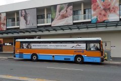 Bus853-HibbersonSt-1