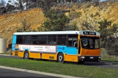 Bus-854-College-Street