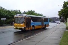 Bus-856-Antill-Street