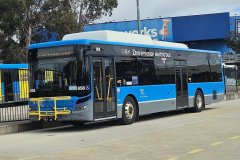 Bus858-CohenStBS