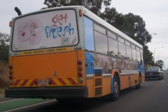 Bus-863-Adelaide-Avenue