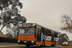 Bus-864