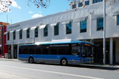 Bus868-EastRow-1