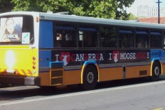 Bus-868-City-Interchange