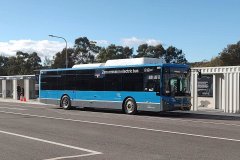 Bus869-WodenIc-1