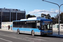Bus871-WodenIc-1