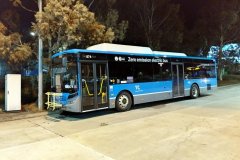 Bus874-CohenStBS-1