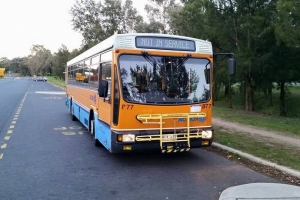 BUS 877-1
