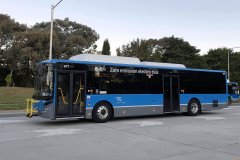 Bus877-EastySt-1