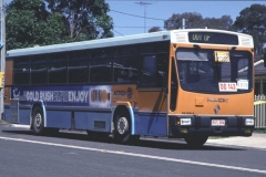 Bus-884-Sydney