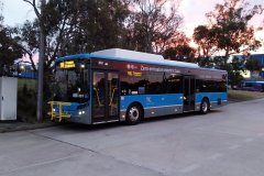 Bus891-CohenStbs-1