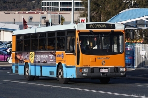 BUS 894-1