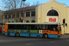 Bus-894-City-Interchange