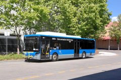 Bus898-Tuggeranong Interchange