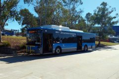 Bus900-Csbs-1