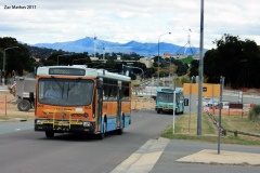 Bus-902-Kings-Avenue