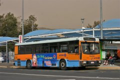 Bus902-CohenSt-1