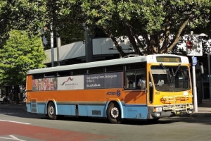 BUS 903-1