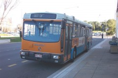 Bus-906-Northbourne-Avenue