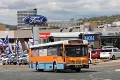 Bus-908-Cohen-Street