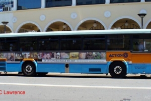 BUS 909-1