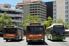 Bus-909-947-and-604-City-West-Layover