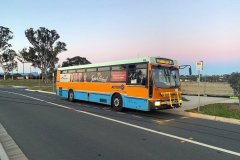 Bus909-BettongAve-1