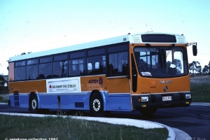 BUS 919