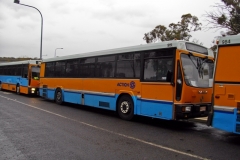 Bus-919-Canberra-Stadium