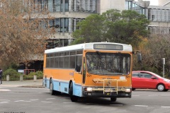 Bus-921-Callam-Street