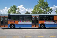 Bus925-Tuggeranong-1