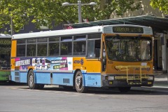 Bus-929-City-Interchange