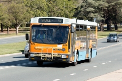 Bus-929-Commonwealth-Avenue