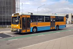 Bus931-CohenSt-1
