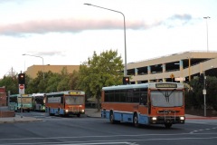 Bus-935-944-and-967-Pitman-Street