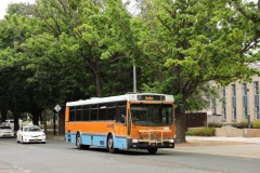 Bus-937-National-Circuit
